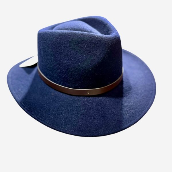 Sombrero repelente modelo Bigalli - Imagen 2